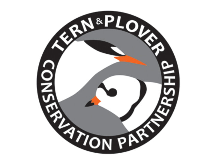Tern and Plover Conservation Partnership Logo
